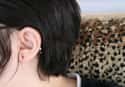 Free Ear Lobe on Random Common Dominant Genes in Humans That You Probably Have