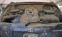 This Precious Pooch Is Ready to Hit the Road on Random Funniest Things Ever Drawn on Dirty Cars
