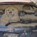 This Precious Pooch Is Ready to Hit the Road on Random Funniest Things Ever Drawn on Dirty Cars
