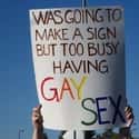 What Are You Gonna Do? on Random Greatest Signs from Pride Month