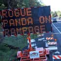 It was a Dark Day for the Citizens of the Bamboo Forest... on Random Funniest Electronic Signs on the Open Road