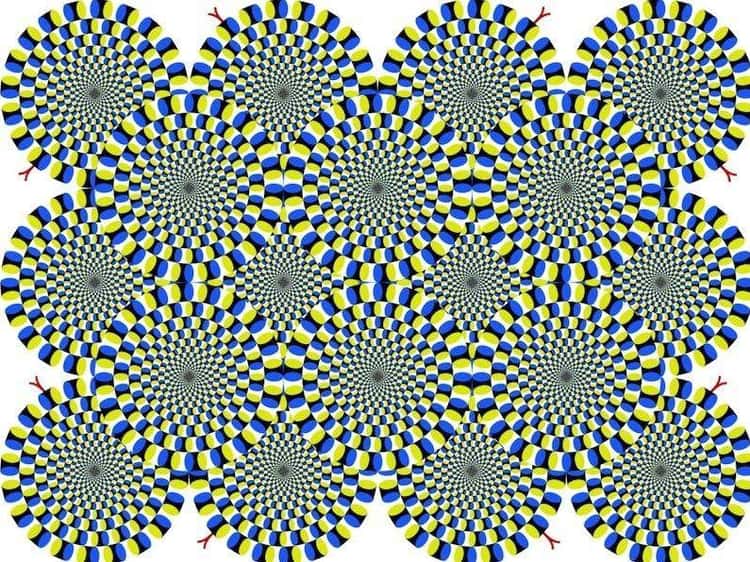21 Optical Illusions That Look Like They're Moving