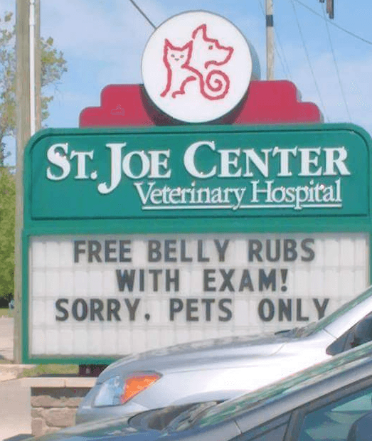 20 Extremely Clever Vet Signs