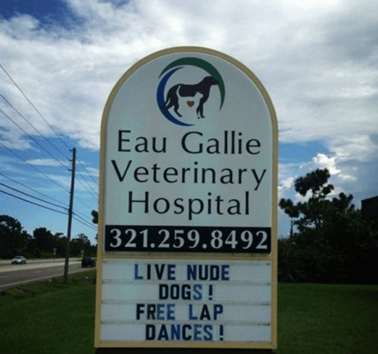 20 Extremely Clever Vet Signs