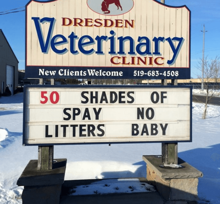 20 Extremely Clever Vet Signs