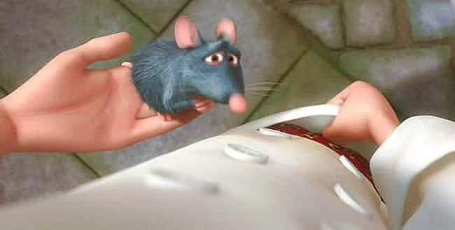 Adult Jokes In Ratatouille That You Never Noticed