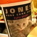FuFu Berry Jones Soda on Random Best Jones Soda Flavors