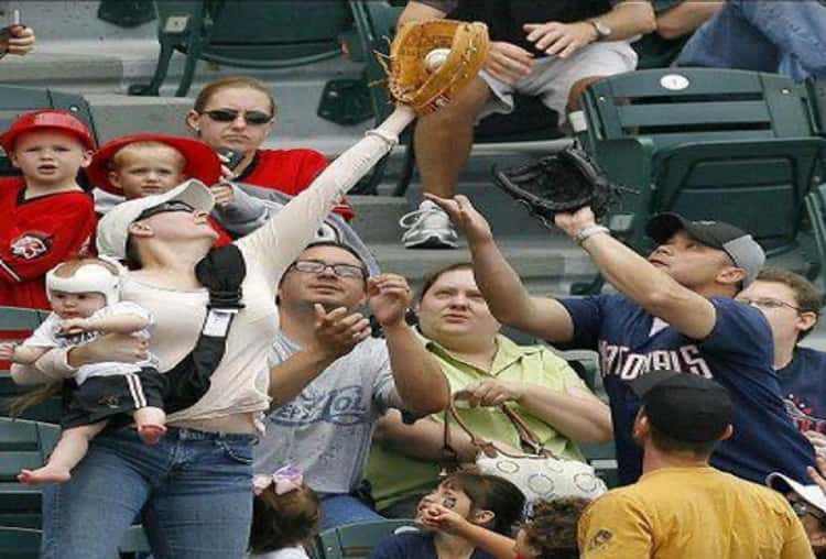 crazy baseball fans