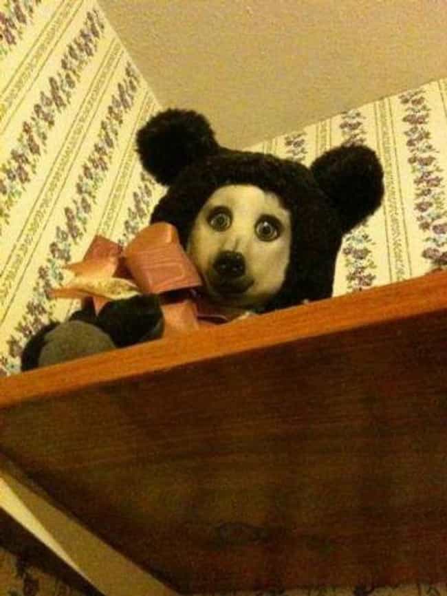 Stuffed Animals That Will Give You Nightmares - ViraLuck