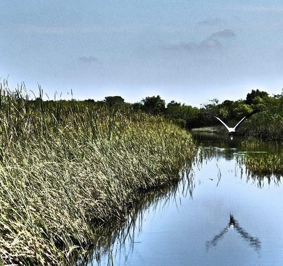 The Everglades Ghost Boy With The Evil Red Eyes