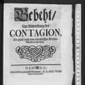 It Paved The Way For The Theory Of Contagion on Random Ways Black Death Directly Shaped Way We Live Now
