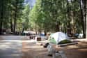 Campground Suicide Ghost on Random Creepy Stories & Legends About Yosemite