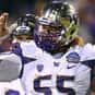 Danny Shelton Nose Tackle is listed (or ranked) 16 on the list The Best University of Washington Football Players Ever