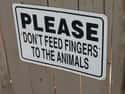 Food for Thought on Random Funniest Signs at the Zoo