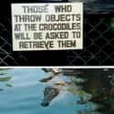 What a Croc on Random Funniest Signs at the Zoo