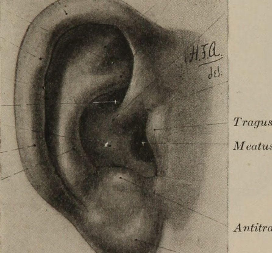 Surprising Traits You Didn't Know Were Vestigial