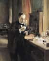 Louis Pasteur Studied Wine and Beer to Invent Pasteurization on Random Alcohol Profoundly Changed History