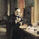 Louis Pasteur Studied Wine and Beer to Invent Pasteurization on Random Alcohol Profoundly Changed History