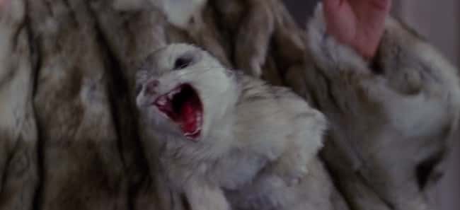 The Angry Fur Coat is listed (or ranked) 15 on the list Every Ghost in the First Two Ghostbusters Movies