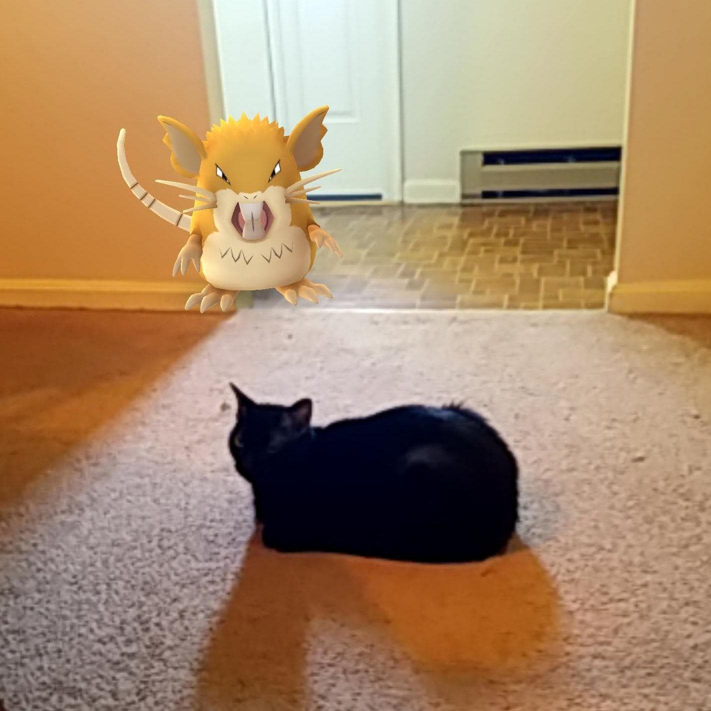 15 Funny Pokémon Go Pictures Caught in Weird Locations