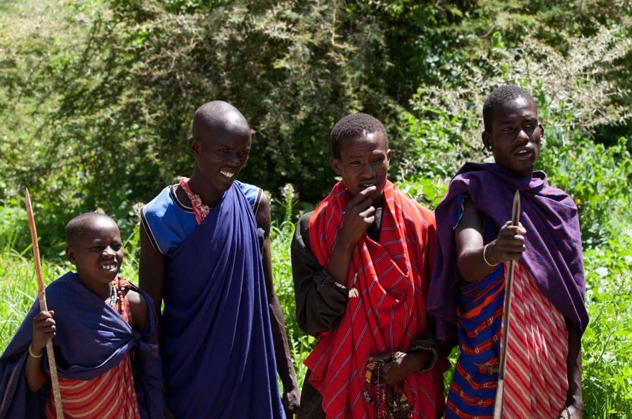 The Maasai People Drink Blood Directly from the Veins of Cows