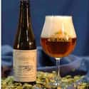 De Ranke Guldenberg on Random Best Belgian Beers