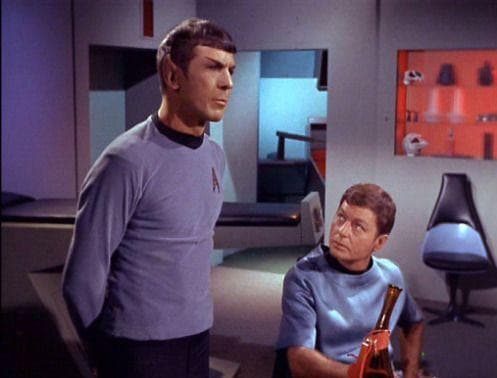 Spock and Bones McCoy Married Moments