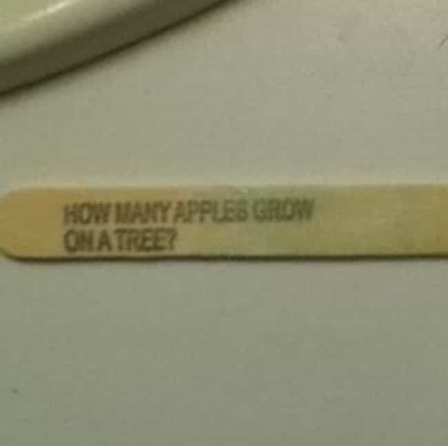 How Many Apples Grow On A Tree?
