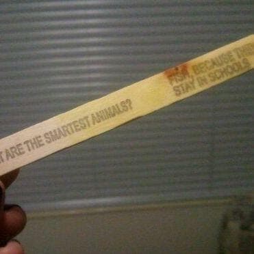 Funny Popsicle Stick Jokes (Page 2)