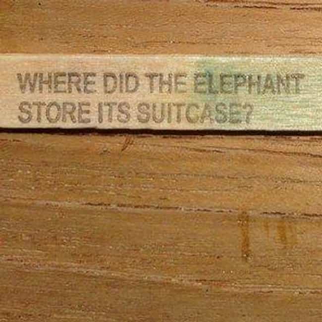 Where Does An Elephant Store Its Suitcase?