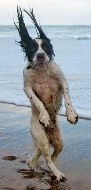 The Funniest "Windy Day" Photos Ever