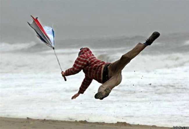 The Funniest Windy Day Photos Ever