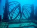 The Neptune Memorial Reef Is an Underwater Cemetery on Random Creepiest Places In Ocean