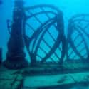 The Neptune Memorial Reef Is an Underwater Cemetery on Random Creepiest Places In Ocean