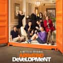 Arrested Development - Season 4 on Random TV Seasons That Ruined Your Favorite Shows