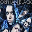 Orphan Black - Season 3 on Random TV Seasons That Ruined Your Favorite Shows