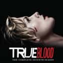 True Blood - Season 7 on Random TV Seasons That Ruined Your Favorite Shows