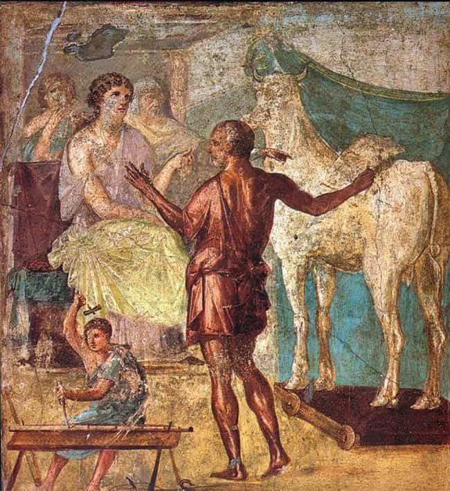 Poseidon Cursed Pasiphae With Lust For A Bull