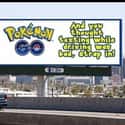 On the Go on Random Hilarious Pokemon Go Signs