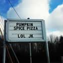Spice of Life on Random Funniest Pizza Signs in All Land