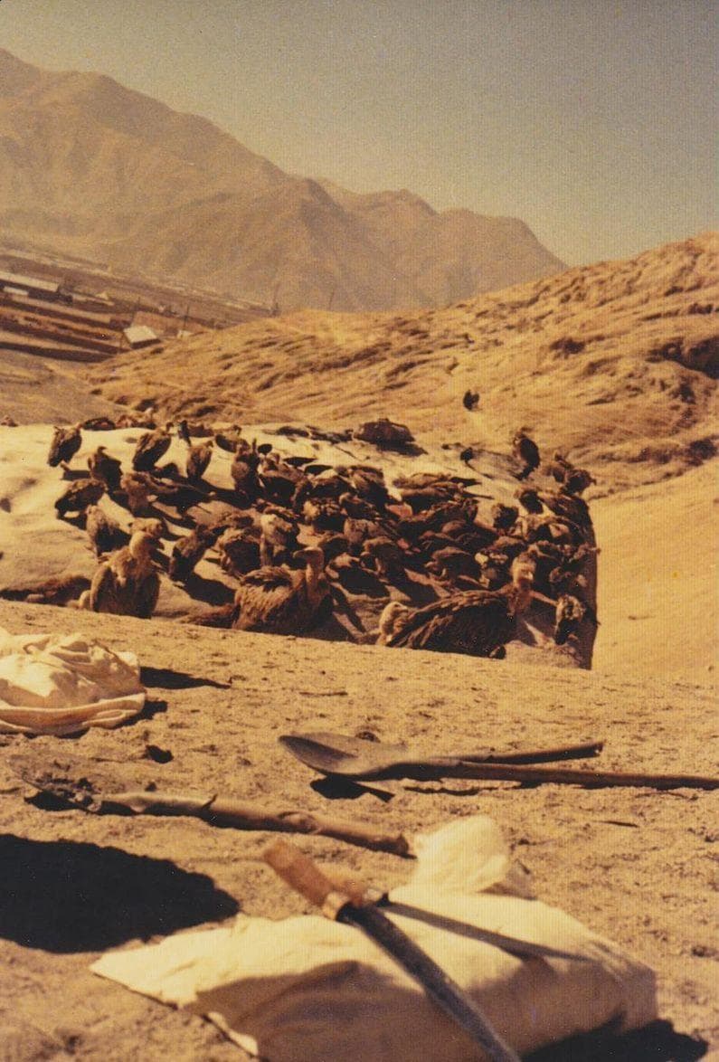 Crazy Things You Didn't Know About Sky Burial