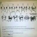 Pain Scale on Random Funny Doctor's Office Signs That Prove Laughter Is the Best Medicine