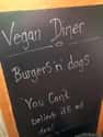 Eating is Believing on Random Greatest Anti-Vegan Signs