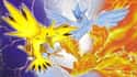 Articuno, Zapdos, & Moltres on Random Common Pokemon Name Meanings from Generation 1