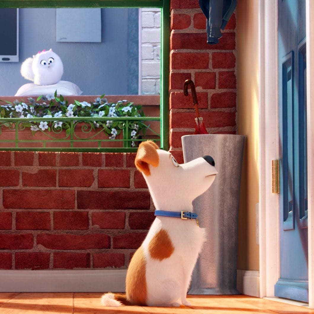 Quotes From The Secret Life Of Pets - Spyrozones.blogspot.com