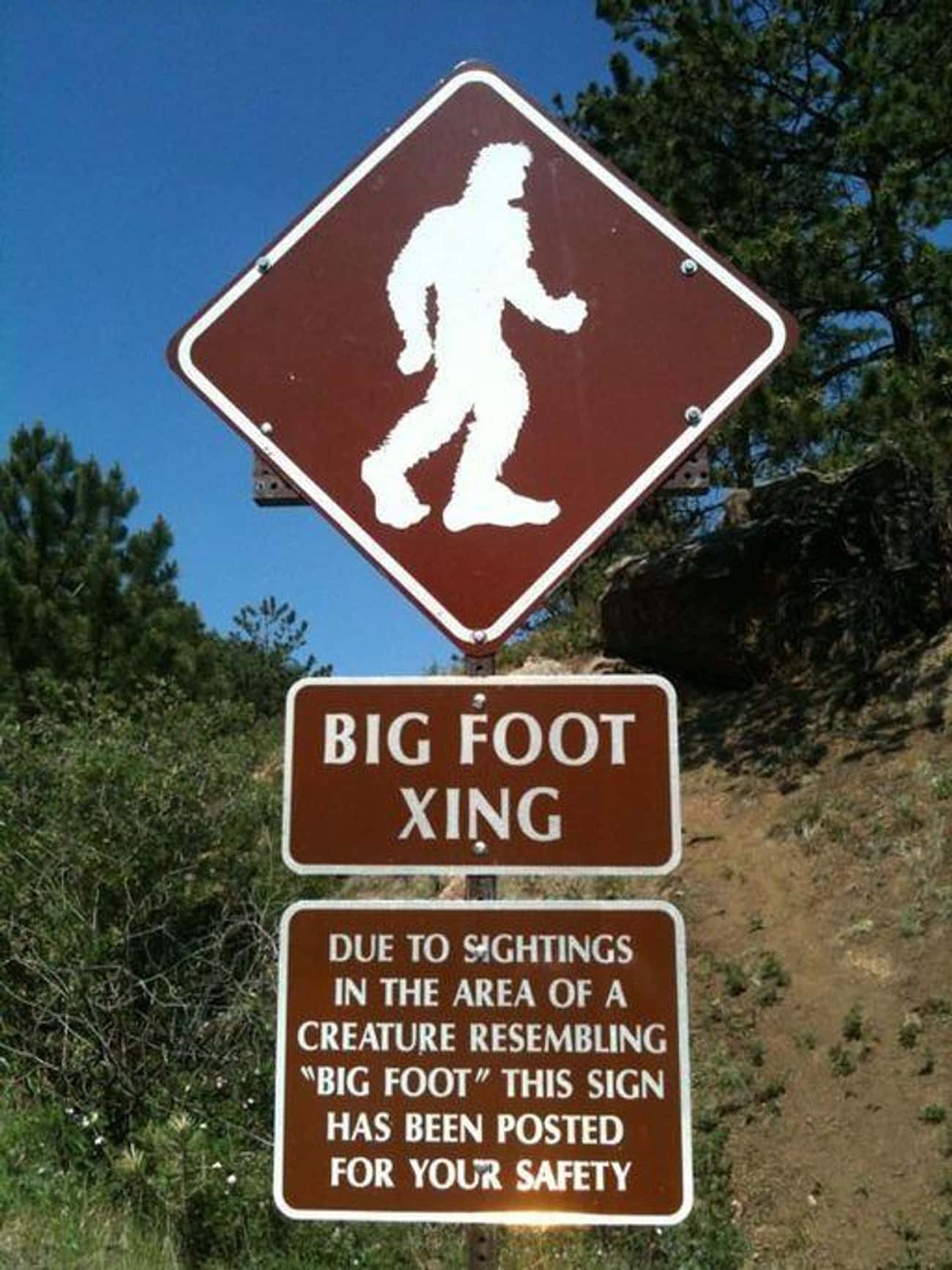 Is Bigfoot Really A Spirit?