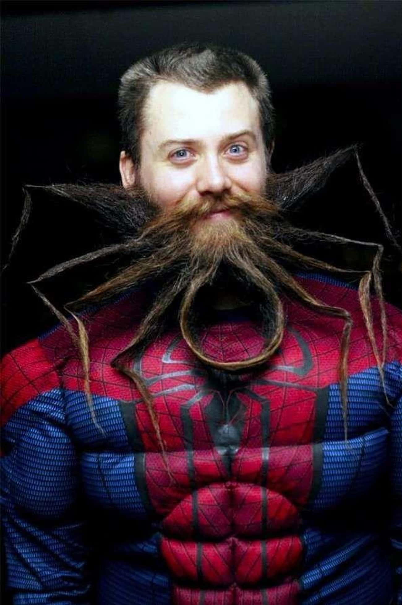 Spider-Beard
