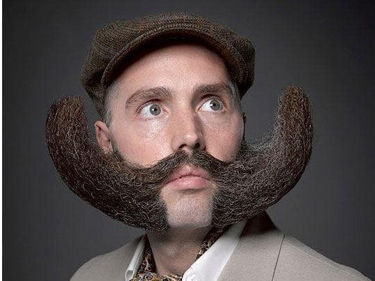 Элегантные усы. Усики по горизонтали. Почему усы называют усами. Маленькие усы. Почему усы называют усами.