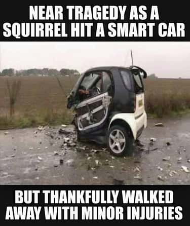 The Funniest Moments in Smart Car History