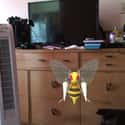 The Huge Murder Bees on Random Reasons the Pokemon Universe Is Actually Really Disturbing